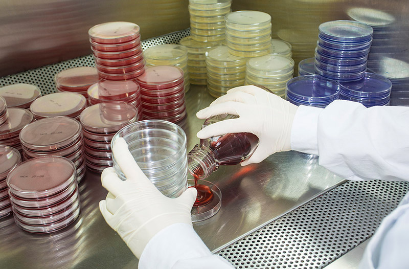 Microbiological Pharma Testing, GMP Lab testing, Micro Suitability Testing, Pharmaceutical Product Testing, Microbiology testing services