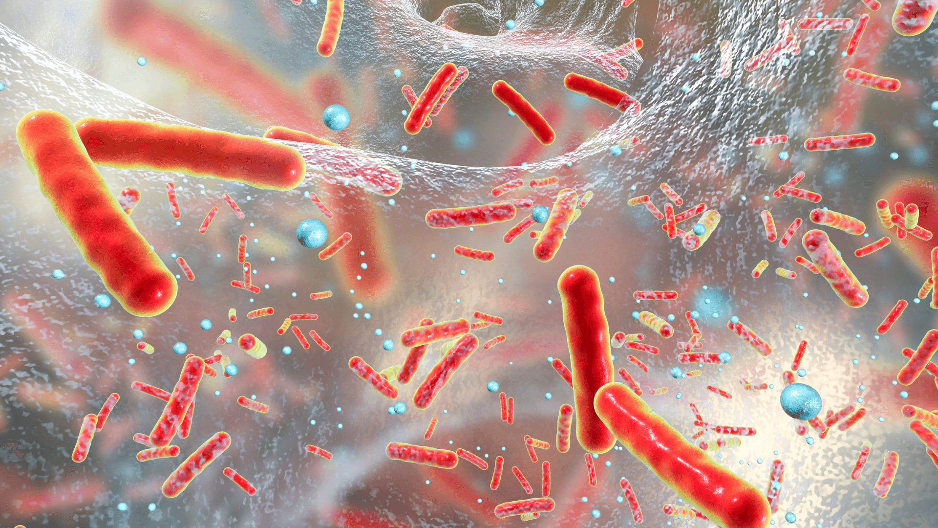 We have developed QQA Service so our customers could roll out breakthrough quorum quenching technology products (eg. anti-acne), that can inhibit the communication of “bad” skin bacteria and rebalance skin microbiome.