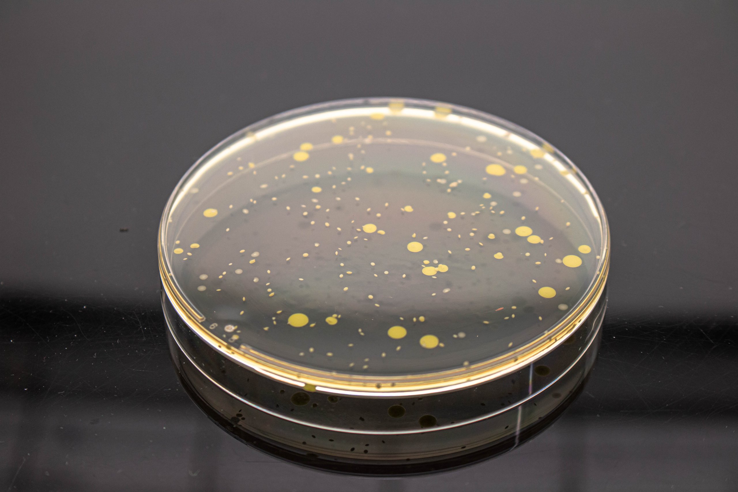 Μικροβιολογικές Αναλύσεις Φαρμάκων, μικροβιολογικές αναλύσεις επιφανειών, υγιεινή επιφανειών αναλύσεις, εργαστήριο αναλύσεων φαρμάκων