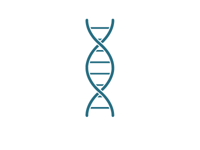 Περιβαλλοντική Παρακολούθηση, Μοριακές Αναλύσεις Καλλυντικών, Μοριακές Αναλύσεις Τροφίμων, Μοριακές Αναλύσεις Φαρμάκων