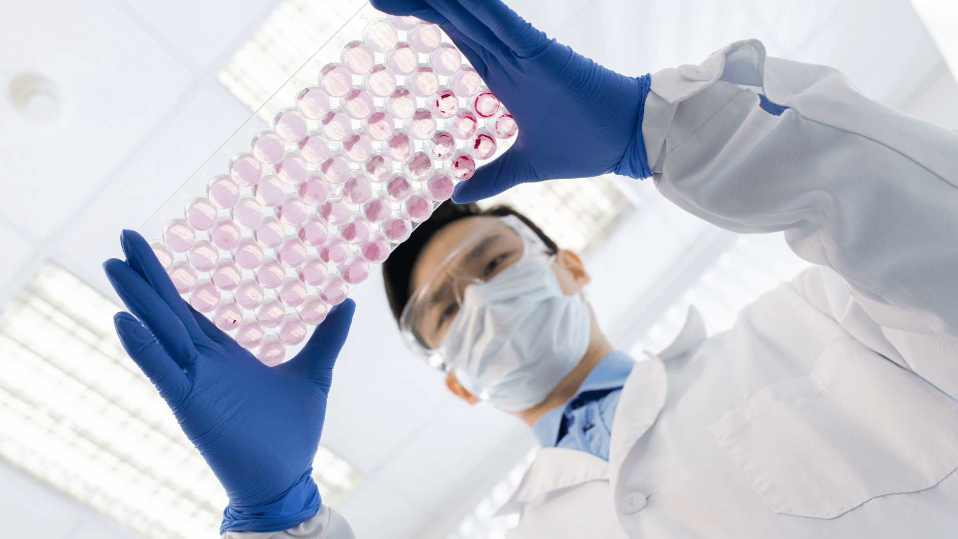 In Vitro Testing for Cosmetics, Phototoxicity test, in vitro testing services, In Vitro Eye Irritation, In Vitro Skin Irritation Test